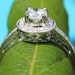 HALO Round Diamond Engagement Ring - .67 cttw - 1/2 carat center - 14K White Gold - Antique Style - Pave - weddings - brides