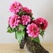 Pink Floral Cinderellas Slipper Centerpiece // Silk Flower Centerpiece // Floral Arrangement // Unique Gift Centerpiece