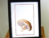 Mushroom Portrait, giclee print,  8 1/2 in x 11 in