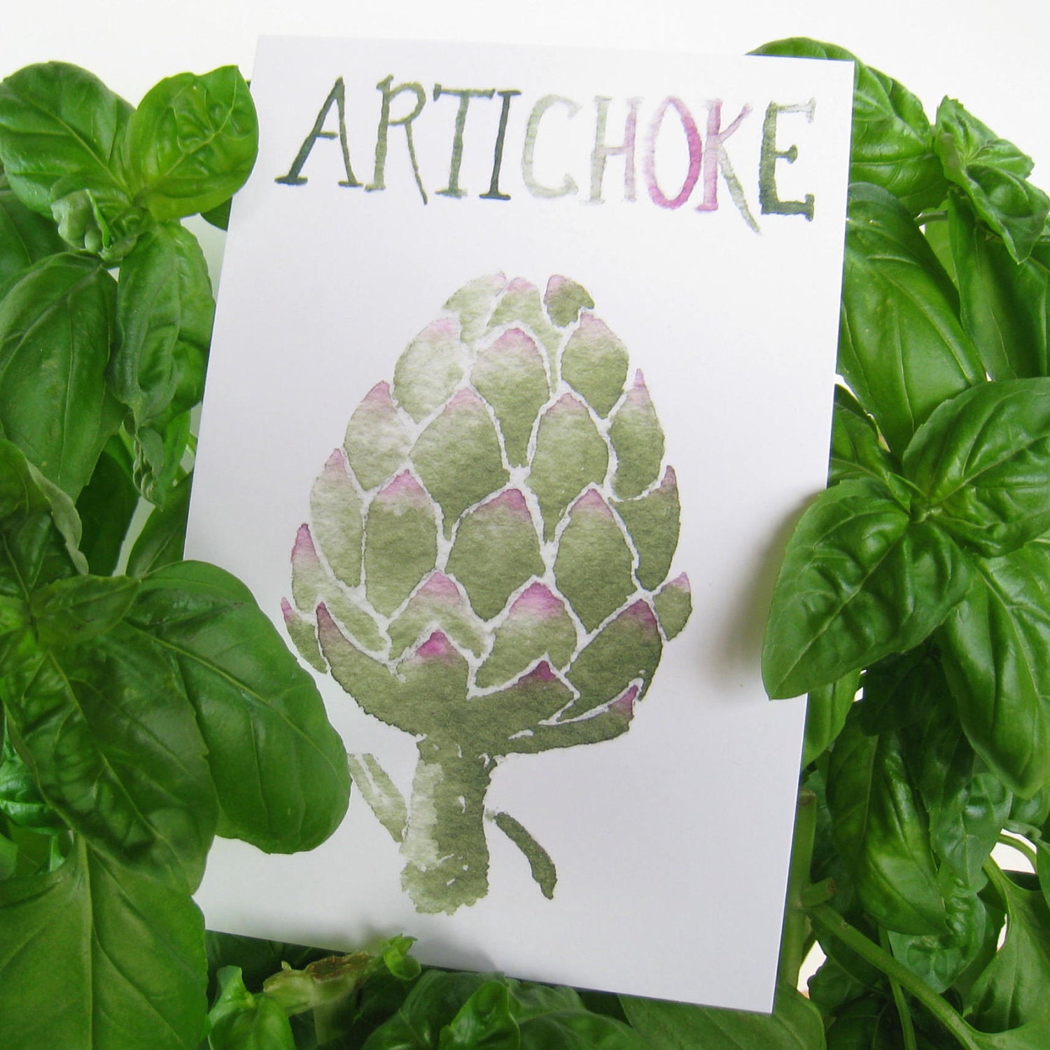 Three Artichoke Postcards, gardening quotation on back, 4 in x 6 in, silky smooth