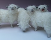 English Cotswold Flock of Sheep
