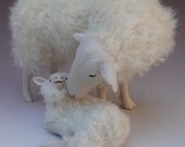 Dutch Kempen Heath Sheep Snuggling