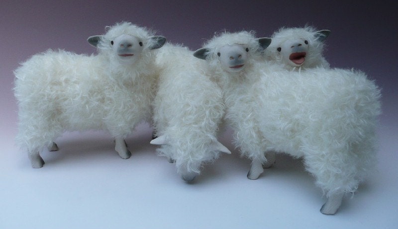 English Cotswold Flock of Sheep