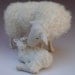 Dutch Kempen Heath Sheep Snuggling