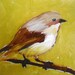 wren on branch limited edition print by moulton 5 x 5 inch