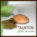 tauntongreen