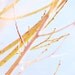 Yellow - Minimalist Branch Photo - Nature Photography - Spring Color Photograph - Nursery Art - Pastel Yellow Pink Blue