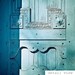 Rawr Door - Turquoise Color Photograph - New Mexico Photography - Door Photo - Southwestern Art Print