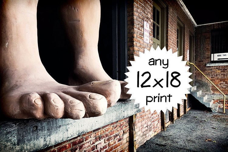 12x18 - Any large photograph, your choice, unmatted -- enlarge any 8x12 photo to 12x18