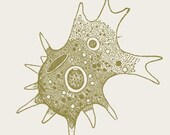 Amoeba Tshirt Science Biology Microocosmic tee S M L XL XXL