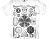Algea Tshirt Diatom Plankton Art MENS Shirt