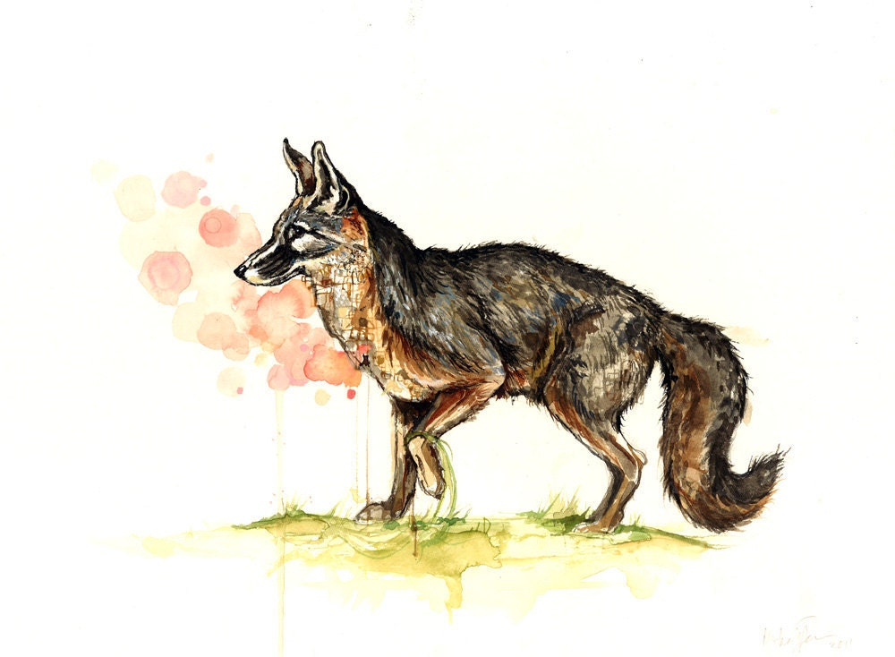Departing (Grey Fox)- limited edition print