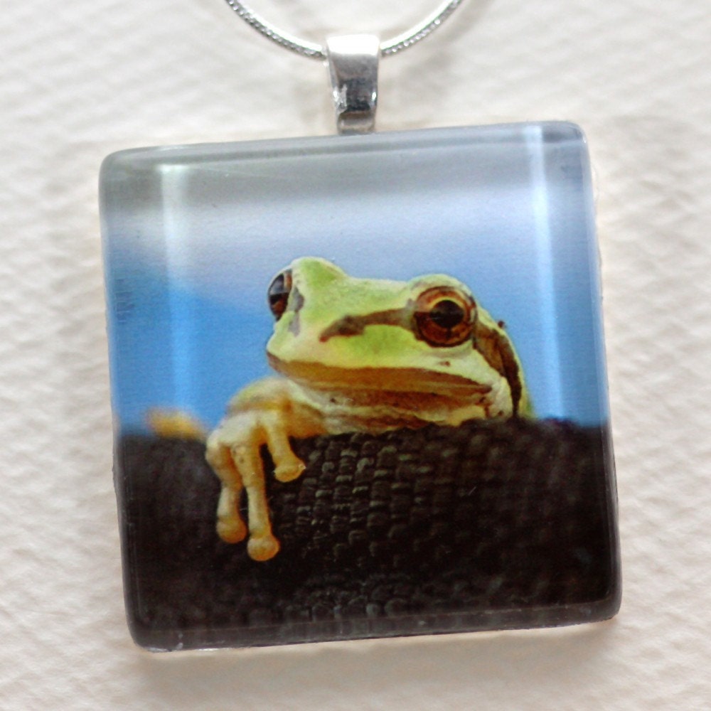 Frog Necklace, Photo Glass Tile Pendant, Blue and Green Original Art Jewelry