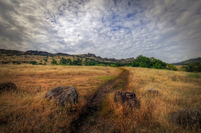 HDR Photography: Trail in the Foothills, Upper Bidwell Park, Chico, CA, 6 x 9 Print, Home Decor