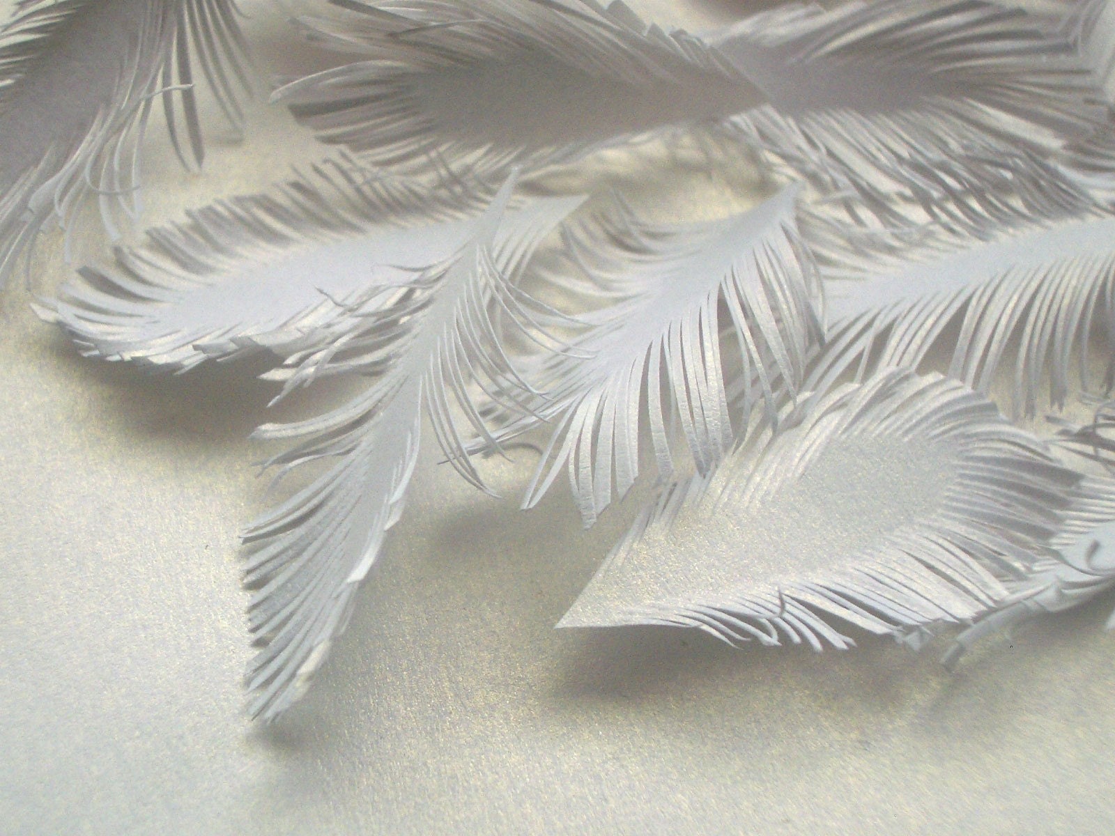 mini FEATHERS - white goldish paper - handcuted