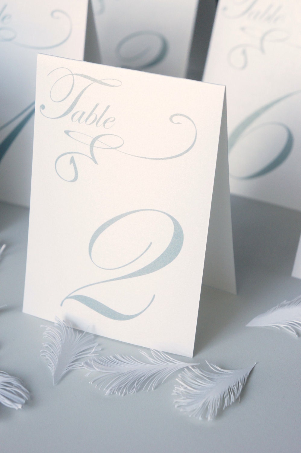 Table Markers / Table Tents / Wedding table numbers with Silver text Iridescent white Tent Style (Set of 12)