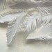 mini FEATHERS - white goldish paper - handcuted
