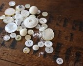 Set of 50 Vintage Buttons in Shades of Cream White Pearl