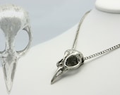 Bellatrix Bird Skull Necklace (Antiqued Silver, 24" chain) Made in NYC