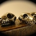 Bird Skull Cabinet Hardware Skull Drawer Pulls Skull Cabinet Knobs cast metal. Antique silver plate. Made in NYC