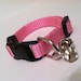 Itteh Bitteh Kitten Collar in Basic Baby Pink
