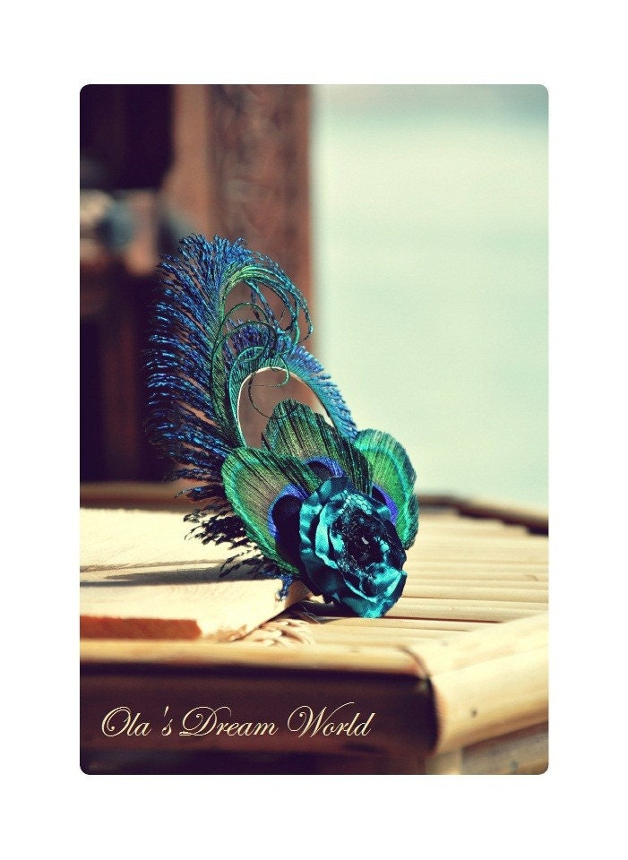 Cute Peacock hair clip.