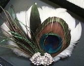 Beach paradise.....Beautiful peacock hair fascinator-