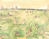 Medium Size Dog Park