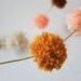 Peachy Yarn Pom Pom Garland