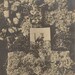 Memorial Mourning Antique Cabinet Card Funeral