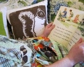 Decorative Pillow, brown, squirrel, Silk Screened Cotton Bark Cloth, 10 inch