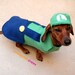 LUIGI NINTENDO Dog Costume