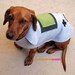 NINTENDO GAMEBOY Dog Costume