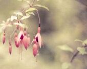 Nature photography, pink fuchsia flower, olive green, Summer garden, women, pastel, dreamy wall art