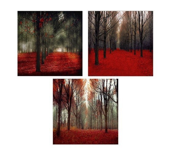 Photography gift set of 3 5x5 photos for Fathers Day - red trees in autumn, red wall decor - nature photography for Ikea ribba