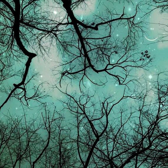 Moon and Stars Photography, Nursery decor, Celestial, Boys wall art, woodland, black, teal, blue, 5x5, Fine Art Photography