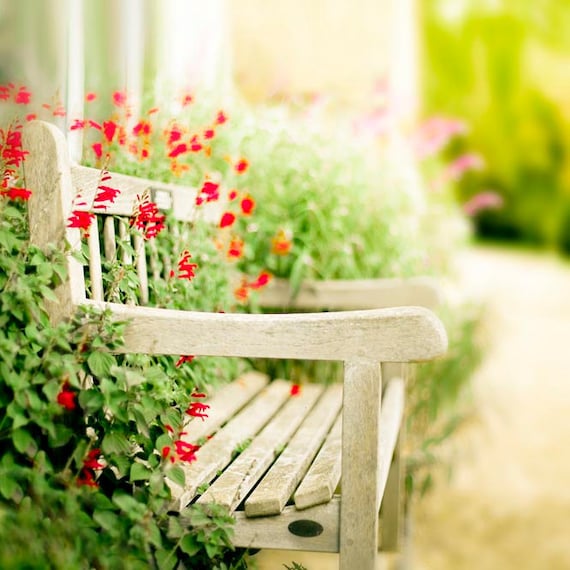 Garden photography, Wall Decor for Gardeners, red, green, flowers, bench, botanic, 8x8 Summer