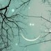 Moon and Stars Photography, Nursery decor, Celestial, Boys wall art, woodland, black, teal, blue, 5x5, Fine Art Photography