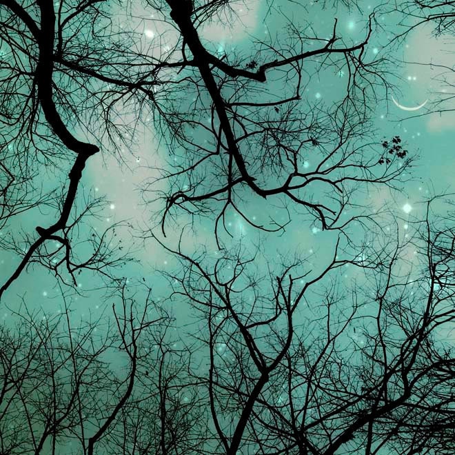 Nature Photography, Nursery decor for a boy, Moon and Stars decorating theme, teal blue, black, trees, gift idea 30x30
