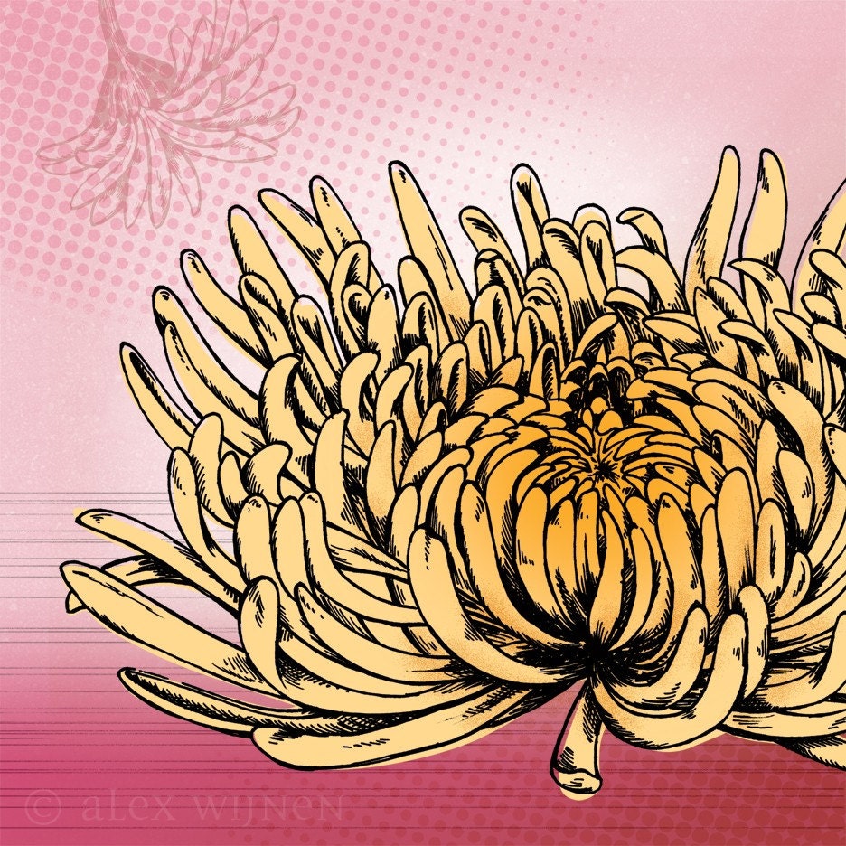 8x10 illustration print: Mum No. 1 (yellow chrysanthemum flower with pink background)