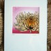 8x10 illustration print: Mum No. 1 (yellow chrysanthemum flower with pink background)