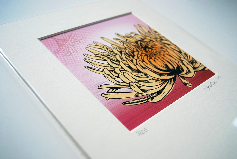 8x10 illustration print: Mum No. 1 (yellow chrysanthemum flower with pink background)