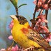 Vintage Postcard with Bird