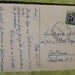 Vintage Postcard with Bird