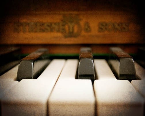 Piano Photograph - ivory keys, close up, black, white, brown
