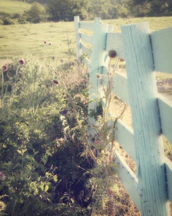 Country Landscape Photograph blue fence farm field grass