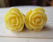 Plugs-Gauges-Yellow Roses
