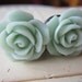 Plugs-Gauges-Mint Green Roses-10g, 8g, 6g, 4g, 2g, 0g, 00g, 1/2g, 13mm, 7/16g