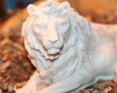 Lion soap Sculpture, Amazing Huge Lion Soap detailed and UNIQUE King of Jungle