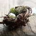 LOVE NEST BOUTONNIERE . Bird nest, moss, feather and pearl boutonniere